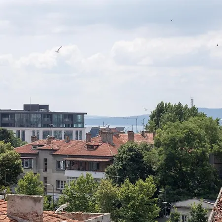 Aleks Classic -Top Center,Sea Garden *